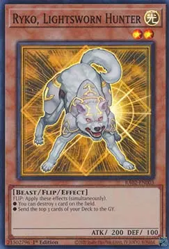 Ryko, Lightsworn Hunter