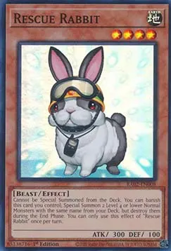 Rescue Rabbit