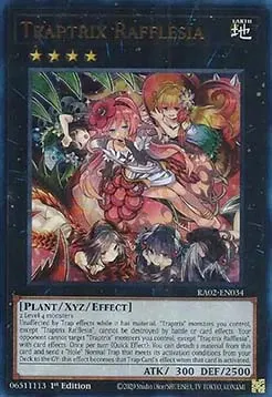 Traptrix Rafflesia