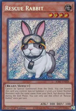 Rescue Rabbit