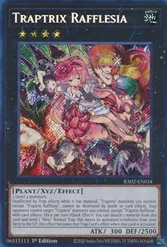 Traptrix Rafflesia