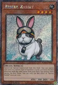 Rescue Rabbit