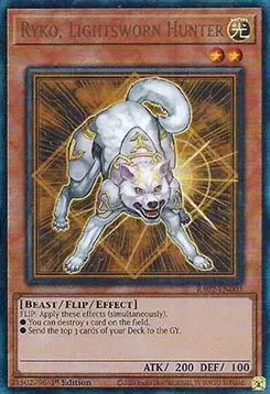 Ryko, Lightsworn Hunter