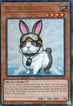 Rescue Rabbit