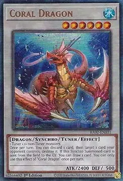 Coral Dragon