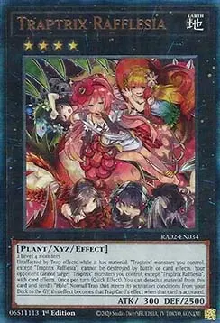 Traptrix Rafflesia