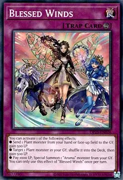 Blessed Winds