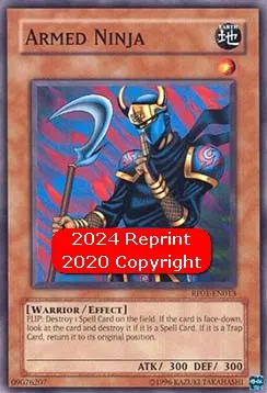 Armed Ninja