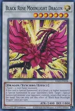 Black Rose Moonlight Dragon