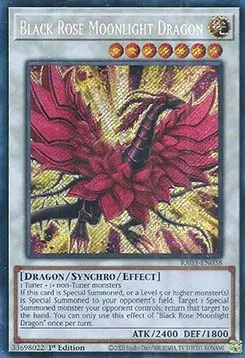 Black Rose Moonlight Dragon