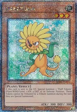 Dandylion