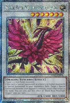 Black Rose Moonlight Dragon