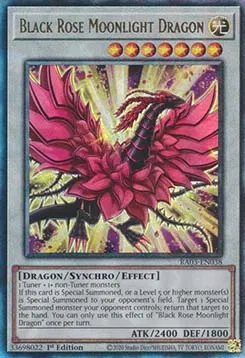 Black Rose Moonlight Dragon