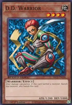 D.D. Warrior