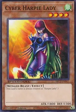 Cyber Harpie Lady