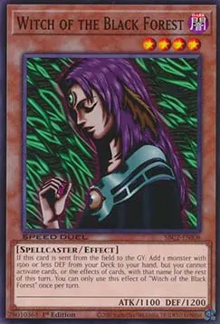 Witch of the Black Forest