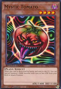 Mystic Tomato