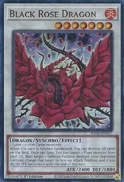 Black Rose Dragon