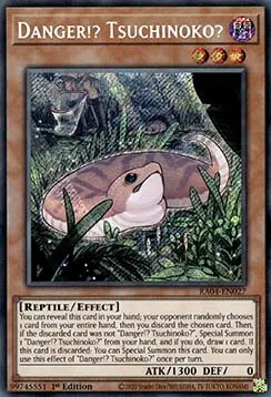 Danger!? Tsuchinoko?
