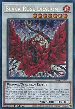 Black Rose Dragon