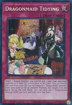 Dragonmaid Tidying