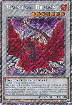 Black Rose Dragon