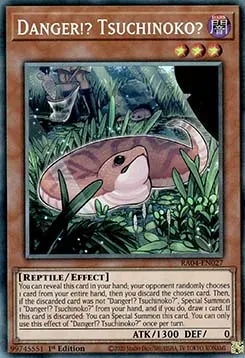 Danger!? Tsuchinoko?