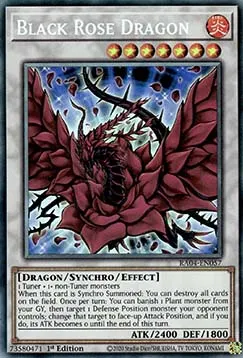 Black Rose Dragon