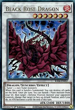 Black Rose Dragon