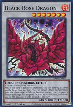Black Rose Dragon