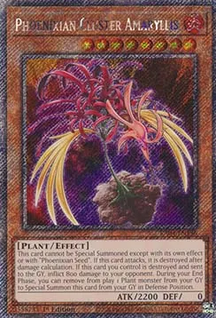 Phoenixian Cluster Amaryllis