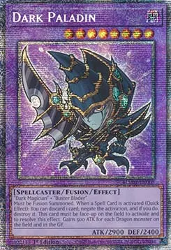 Dark Paladin