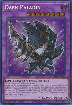 Dark Paladin