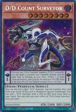 D/D Count Surveyor