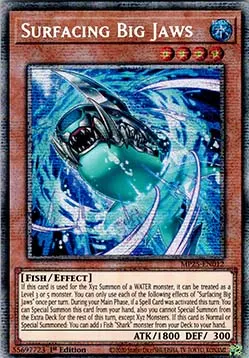Surfacing Big Jaws