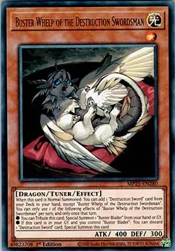 Buster Whelp of the Destruction Swordsman