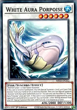 White Aura Porpoise
