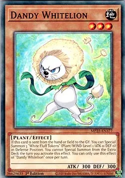 Dandy Whitelion