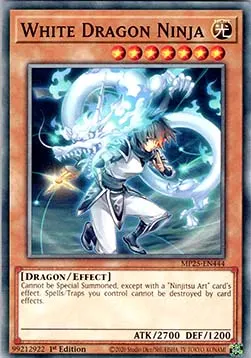 White Dragon Ninja