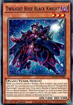 Twilight Rose Black Knight