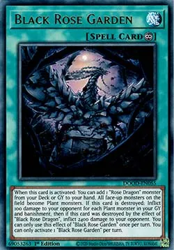 Black Rose Garden