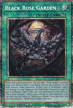 Black Rose Garden