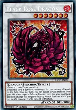 Black Rose Dragon