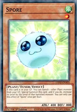 Spore