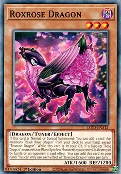 Roxrose Dragon