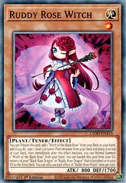 Ruddy Rose Witch