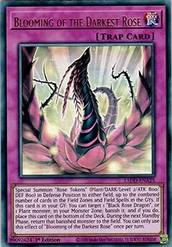 Blooming of the Darkest Rose