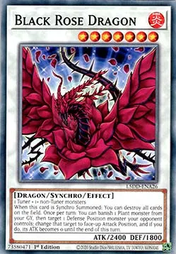 Black Rose Dragon
