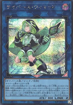 Cyberse Wicckid
