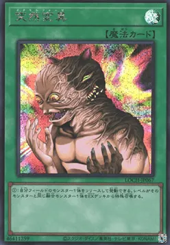 Metamorphosis
